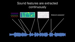 Famous Studying Sound in the Human Brain Using Predictive Models Net Worth