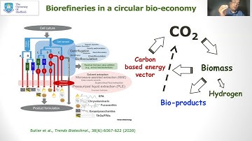 MITAB21 ID 192 Vaidyanathan Microalgae carbon capture