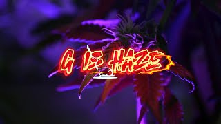 Strain Info (Ep.1) - G13 Haze