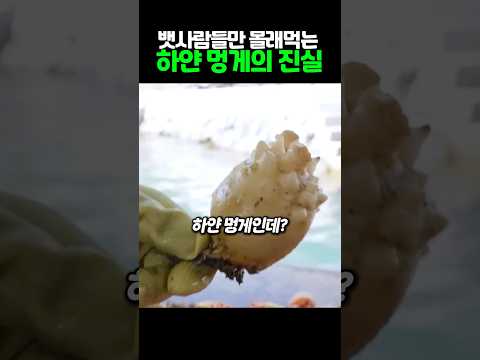희귀한 멍게를 먹으면 생기는일 thumbnail