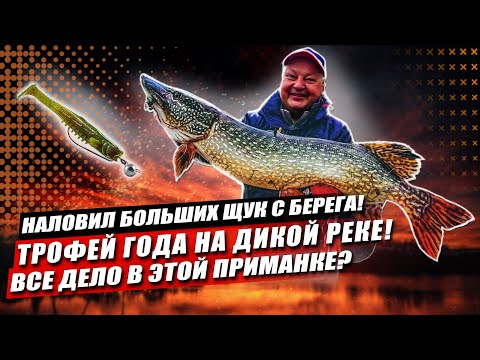 Видео: Наловил больших щук с берега! Дело только в приманке? Спиннинг в ноябре: поймал главный трофей года?