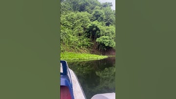 Thumbnail of #lake#colors #nature #greennature #boat #song#shorts #bangladesh #bhatiari #chittagong