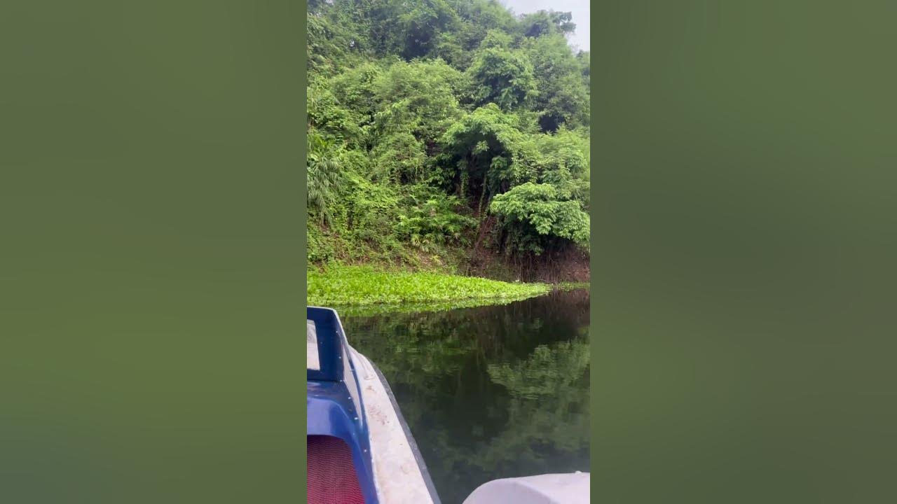 #lake#colors #nature #greennature #boat #song#shorts #bangladesh #bhatiari #chittagong