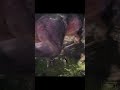 Teljes videó a csatornán elérhető!