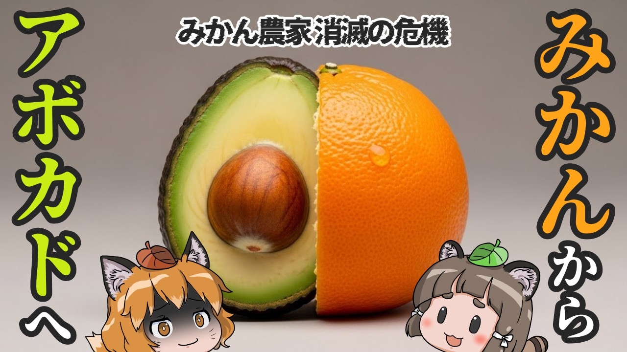 Savior] Did you know that avocados are saving mandarin orange