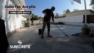 ColorTec Acrylic Sealer // Pigmented Sealer with Outstanding Hide!