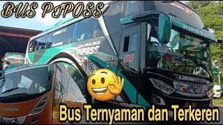 Hunting Bus Ternyaman Dan Terkeren Piposs Makar