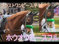 【ホウオウピースフル（ツルマルワンピースの17）】★オークス・優駿牝馬