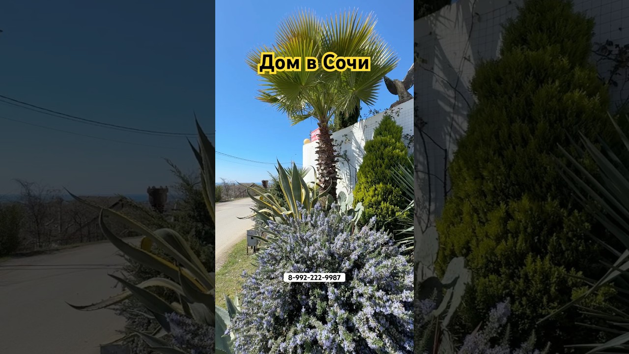 Быстровозводимый дом в Соче ландшафт