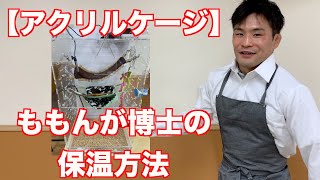 【フクロモモンガ】飼い方・アクリルケージの保温方法