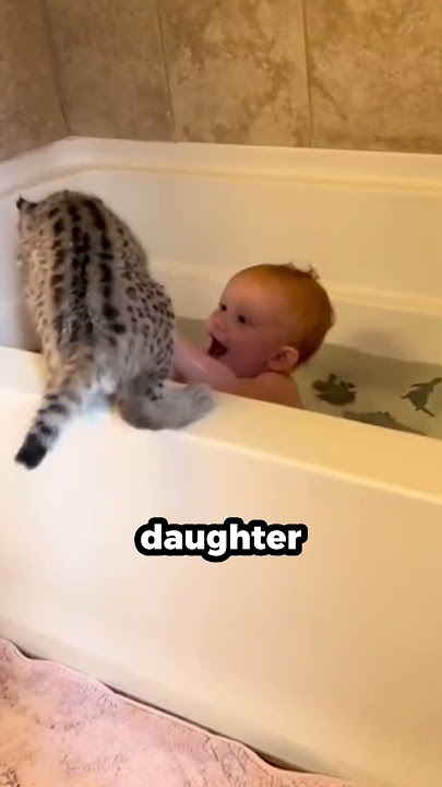 Lynx Misses Its Human Sister
