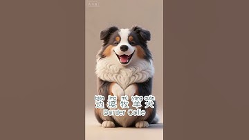 21：DOG #learnchinese #freemandarinchinese #learning#dogs#pet