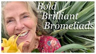 💎🌺Bromeliads: Jewels For Your Indoor Jungle 🌺 #happyplants  #bromeliads #houseplants