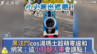 黑法鬥cos湯瑪士超萌零違和 網笑：這小短腿火車會誤點！