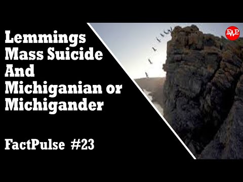 \Lemmings Mass Suicide And Michiganian Or Michigander? | FactPulse #23