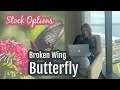 Broken Wing Butterfly Credit Spread Options Trading