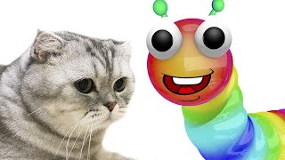 Cat song, Story about Worms from the game by Boochi Boom TV 11,087 views 4 years ago 1 minute, 41 seconds