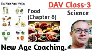 Food | DAV | Class 3 | Science | My Living World | Sources of Food| Santosh Kumar | New Age Coaching