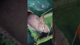 I Followed a Secret Fishing Map to This Unknown Lake... You Won't Believe What Happened Next