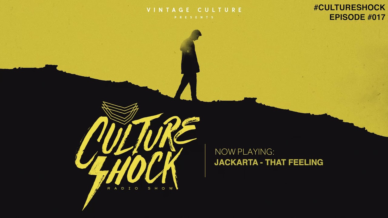 Vintage Culture - Culture Shock #018