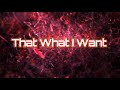 Lil_Nas_X _ THAT WHAT I WANT music (Lyrics) video (Visualizer)