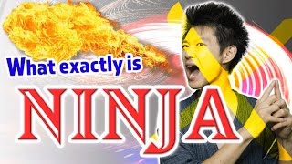 What exactly is Ninja ? The Real Mission of Ninja