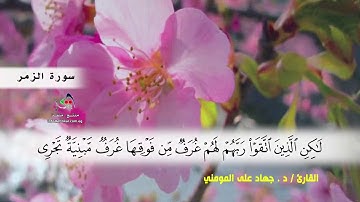 سوره الزمر ( ايه 8 ) الى ( ايه 31 )  بصوت القارئ د.جهاد المومني