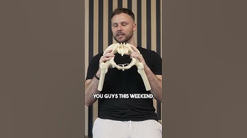 Hip Hinge - Glute VS Hamstring