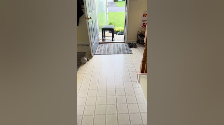 Inviting a chipmunk out of the house
