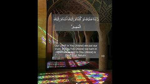 تلاوة للقارئ عباس باوزير سورة الممتحنة كاملة تراويح 1438 هـ