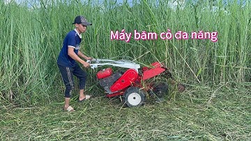 Máy băm cỏ 3 chức năng Nhật Bãi 8 ngựa 0982449121