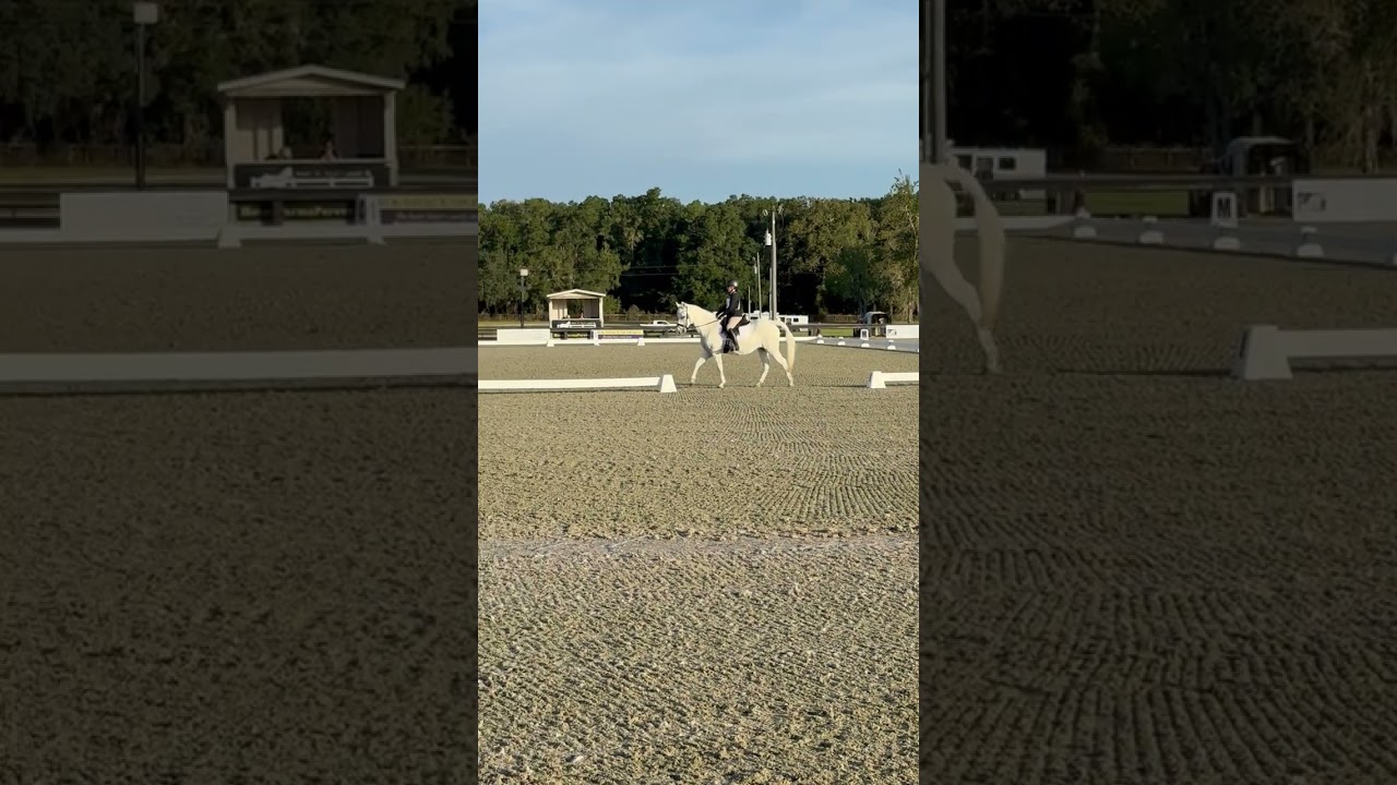 Dressage Test 10.26.25