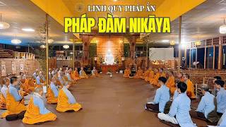 Pháp Đàm NIKAYA - Gương Sáng Đức Hạnh Thánh Tổ Ni ( GoTaMi)