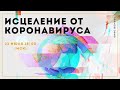 Исцеление от коронавируса 22.07.2020