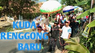 Kuda renggong sansan grup di baru cisarua