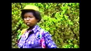 Sirba Warraaqsaa Hawwisoo Caffee Gadaa