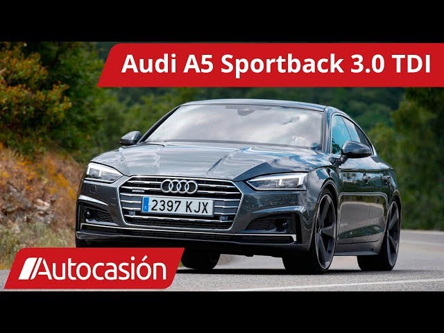 Archivo:Audi A5 3.0 TDI Quattro Sportback 2967cc diesel registered April  2017.jpg - Wikipedia, la enciclopedia libre