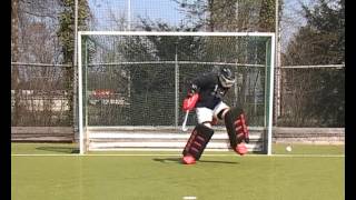 BASIC: block ball hip hight center 1.avi