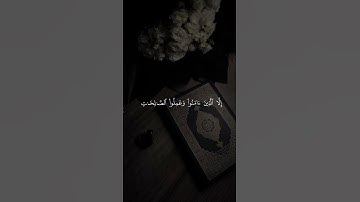 والتين والزيتون وطور سنين وهذا البلد الأمين #قران#قران_كريم #راحة_نفسية #فارس_عباد #سورة_التين