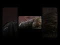 Pain Builds Power (Watch This If You’re Struggling)