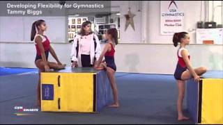 Developing Flexibility for Gymnastics - Tammy Biggs