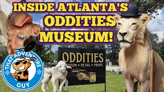 From WEIRD Taxidermy to VINTAGE Artifacts! Inside The Oddities Museum in Atlanta! Adventure - 98