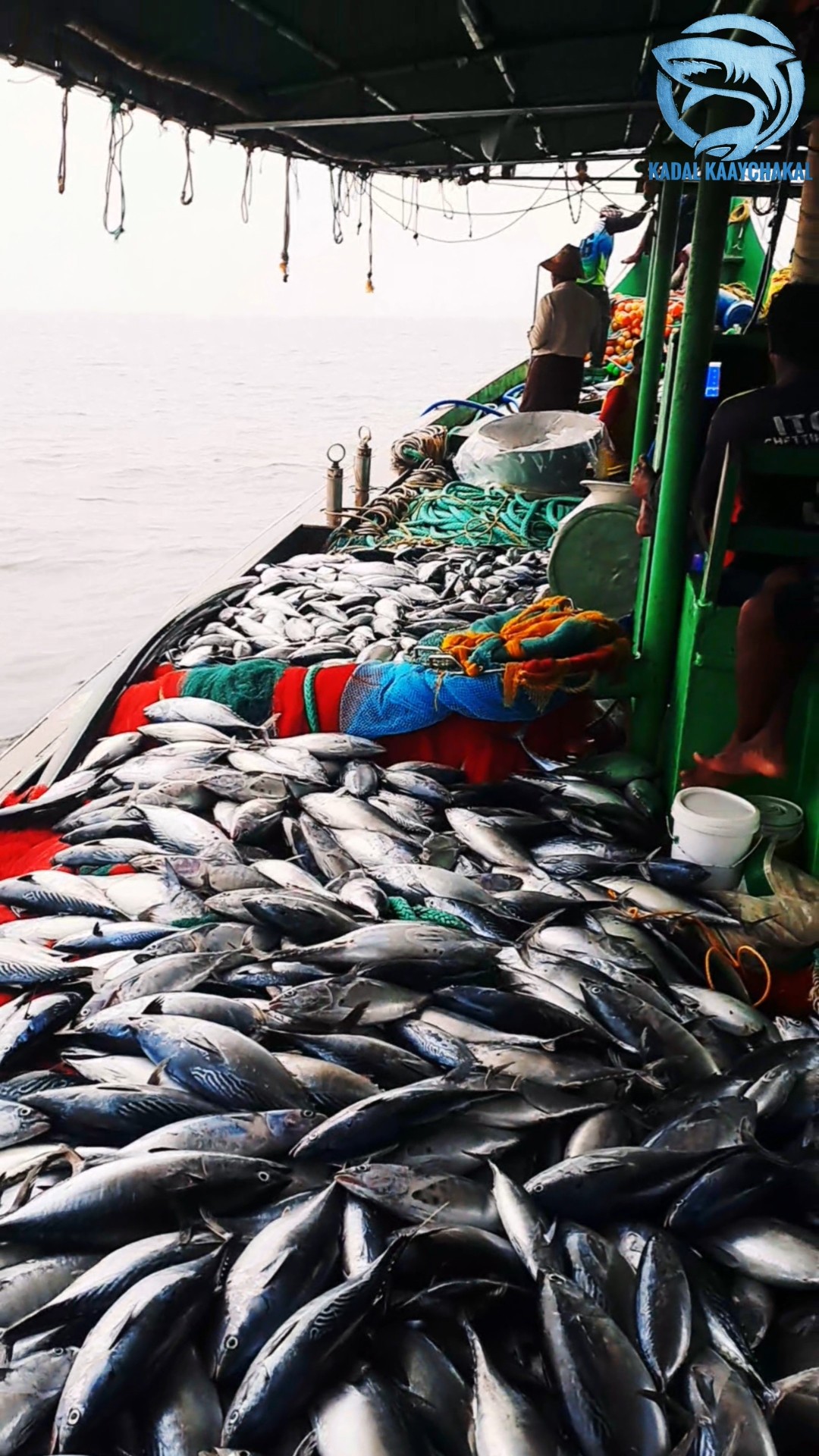 🙋‍♀️ എൻ്റെ സ്റ്റാറ്റസുകൾ - ShareChat