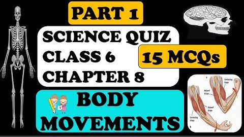 Class 6 Science: Chapter 8: Body Movements MCQs : PART 1 : MANISHA PARIHAR