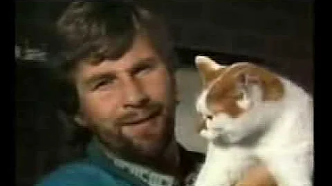 Watch the video about FUNNIEST KITTIES Cat Attacks TV presenter Funny