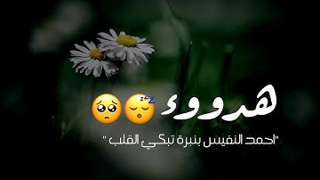 القرآن الكريم " حالات واتس اب قرآن / تلاوة خاشعة بصوت القارئ احمد النفيس 💚 تلاوة هادئة تريح القلب 🥺