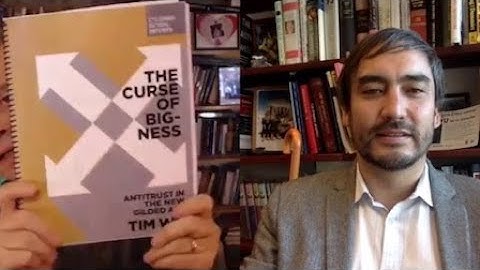 The Curse of Bigness | Robert Wright & Tim Wu [The Wright Show]