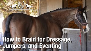 How To Braid A Horses Mane For Dressage, Jumpers, Or Eventing