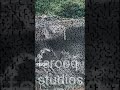Many Injured😱😭☝️|| Newly constructed Roof collapsed #trending #viral #shorts