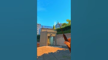 META GIANT SMOKES #shorts #cs2